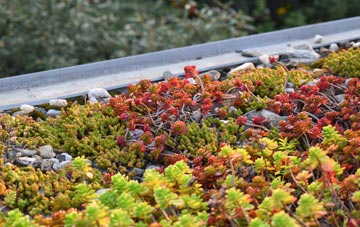 the cost of Tibthorpe green roof installation