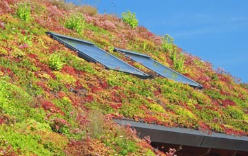 Tibthorpe living roof systems