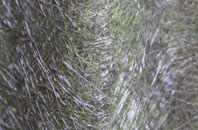 Tibthorpe fibreglass roof work